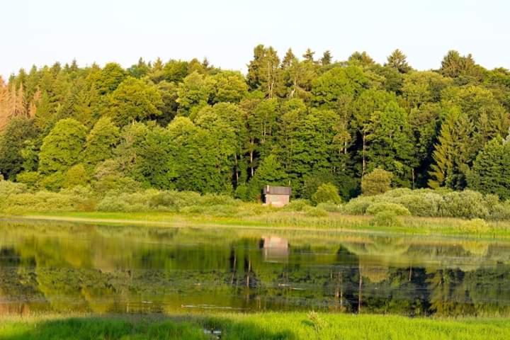 Ferienhaus Mauer Krombachtalsperre, Exclusive Nebenkosten Strom Driedorf Esterno foto